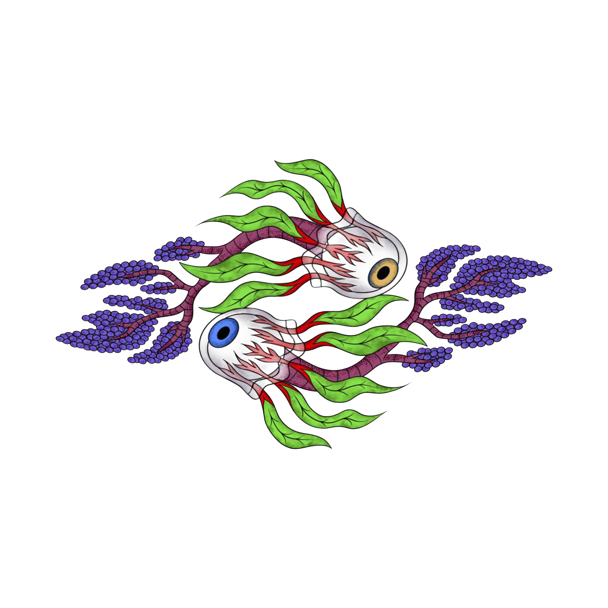 Medusas Yin Yang